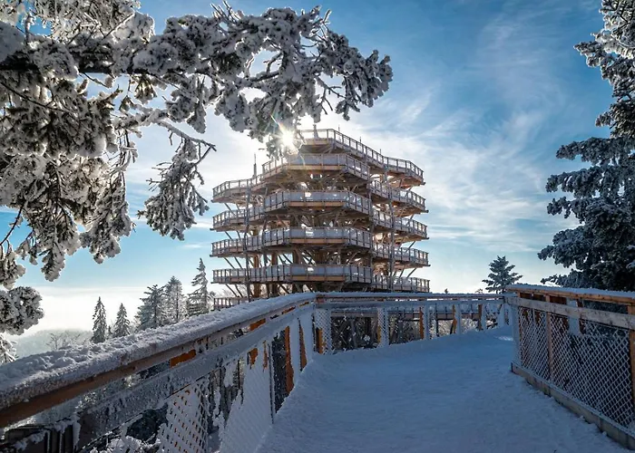 Chatynki W Krynicy Zdroj *