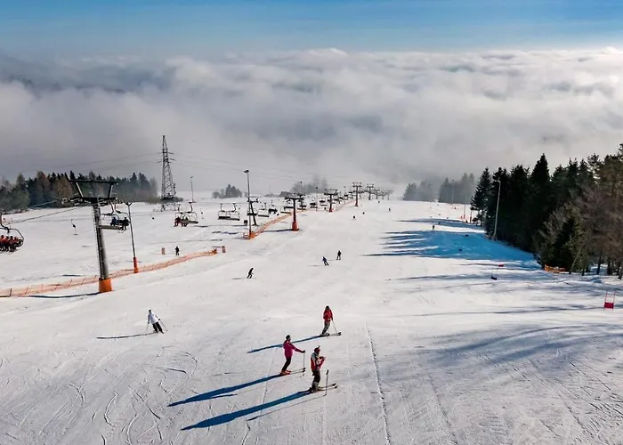 Feriehus Chatynki W Krynicy Zdroj *